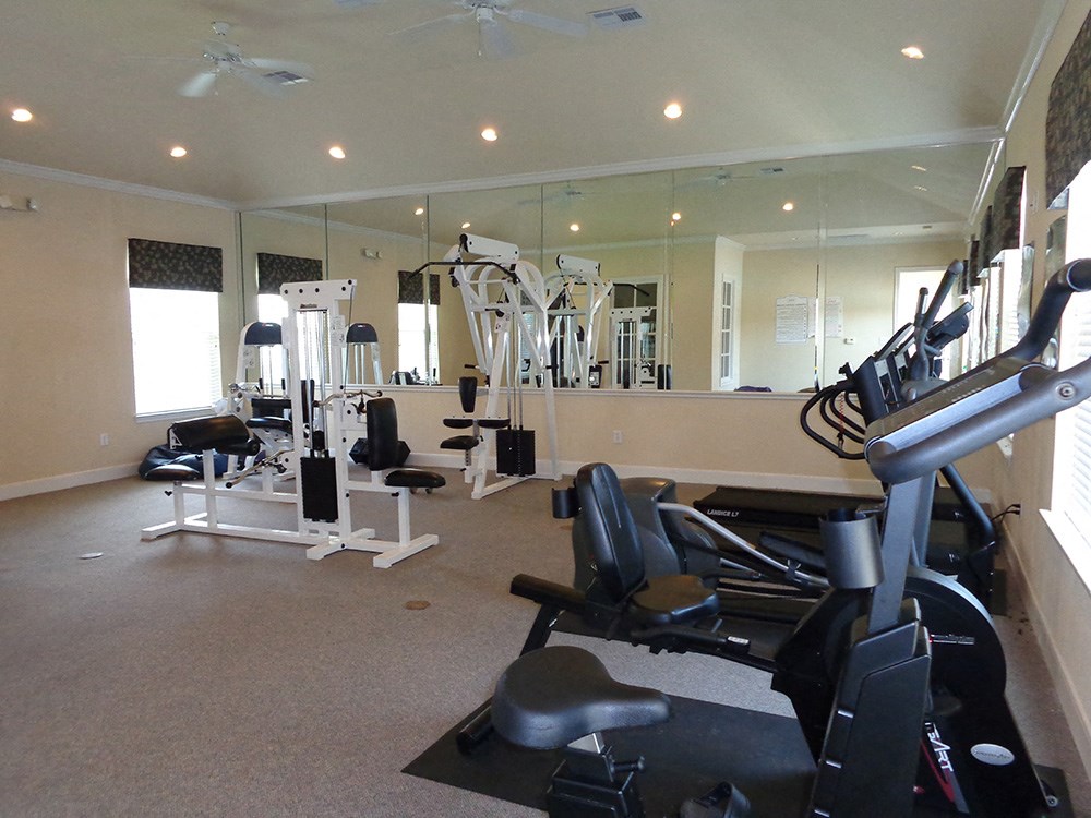 Park At Kirkstall Apartments, 300 Kirkstall Drive, Houston, TX RentCafe